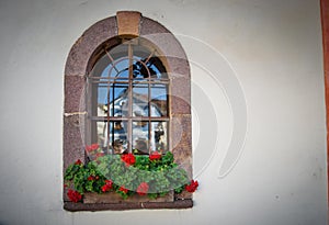 Flowers on the window of a home in an ancient building