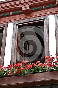 Flowers, window, house, framework, Germany