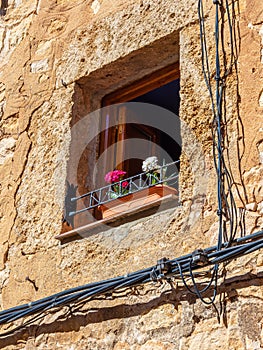 Flowers in the window photo