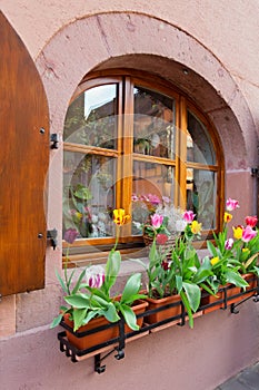 Flowers in the window, traditional village in Alsace, France