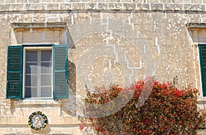 Flowers, Window & Wall