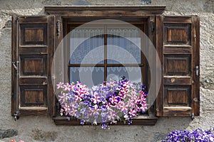 Flowers on windowsill of window with open shutters
