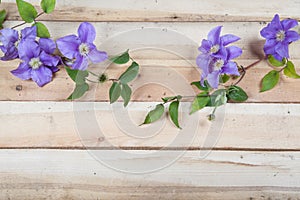 Flowers on the wood background