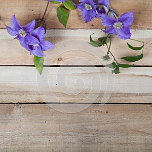 Flowers on the wood background