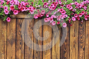 Flowers wood texture background