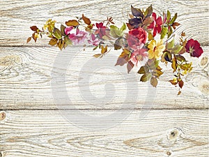 Flowers on wood texture background watercolor style