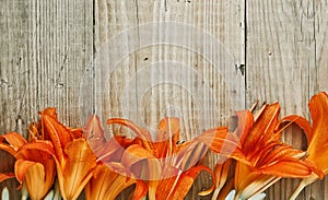 flowers on  wooden background