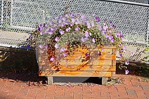 Flowers in a wooden flower pot standing on the street