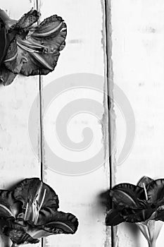 Flowers on a wooden table