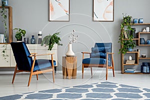 Flowers on wooden table between blue armchairs in grey flat interior with carpet and posters. Real photo