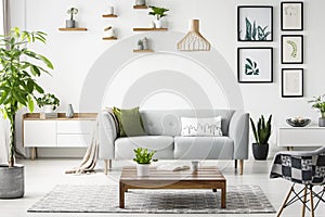 Flowers on wooden table in front of grey sofa in scandi flat interior with posters and armchair. Real photo