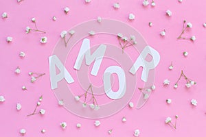 Flowers and word AMOR on a light pink background