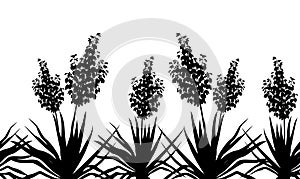 Flowers Yucca silhouette, horizontal seamless photo
