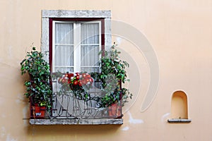 Flowery Balcony