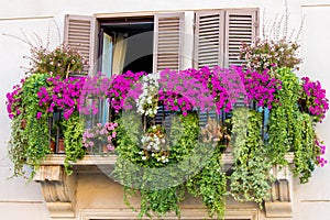 Flowery balcony