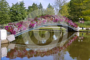 Flowery bridge at Bagnoles-de-l'Orne photo