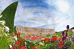 Flowery gardens at Palace of Versailles, France