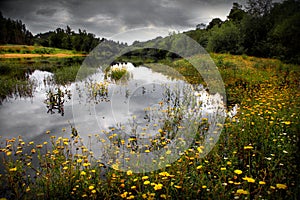 Flowery Lake photo