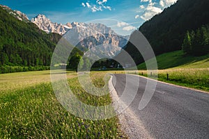 Flowery meadows and snowy mountains scenery, Kamnik Alps, Slovenia