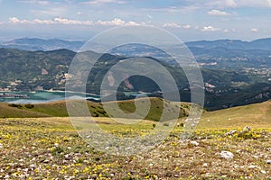 Flowery mountain landscape in spring
