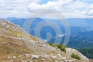 Flowery mountain landscape in spring