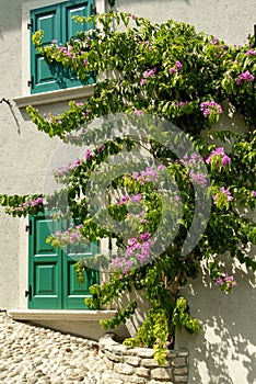 Flowery streets of Limone, Lake Garda
