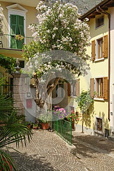 Flowery streets of Limone, Lake Garda