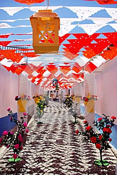 Flowery streets, Redondo village, Portugal.