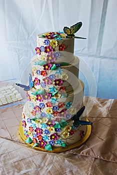 Flowery wedding cake with butterflies