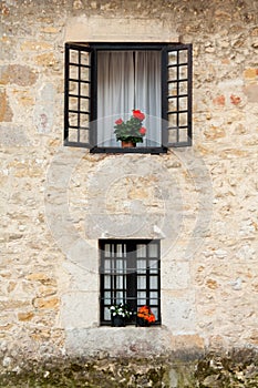 Flowery window