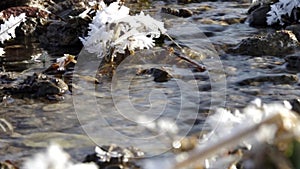 Flowing bourn in a frozen landscape