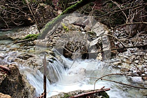 The flowing of cold water in a stream between the rocks of an autumn forest and the branches of trees covered with green muddy