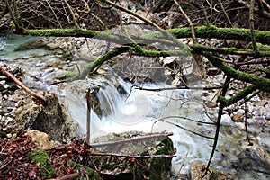 The flowing of cold water in a stream between the rocks of an autumn forest and the branches of trees covered with green muddy