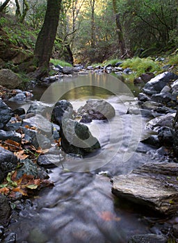 Flowing Creek