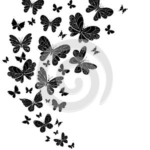 Flowing curving design of flying butterflies