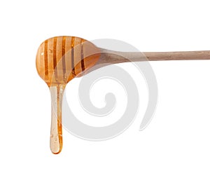 Flowing drops of yellow honey from a wooden stick on a white isolated background