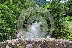 Flowing Firtina River in Rize in Forest