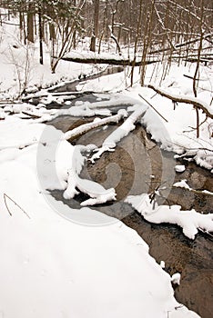Flowing forest stream water in winter. Coast snow