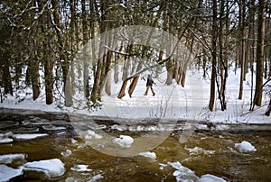 Flowing icy cold water and snow on the grounds