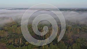 Flowing mist above morning landscape with forest and road, aerial