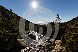 Flowing mountain river in High Tatras landscape