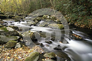 A flowing mountain stream in Smoky Mountain National Park