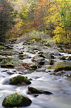 A flowing mountain stream in Smoky Mountain National Park