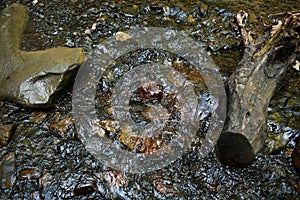 Flowing mountain stream with transparent water and stones on bottom