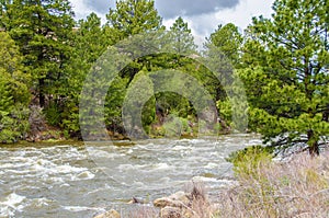 Flowing mountain water