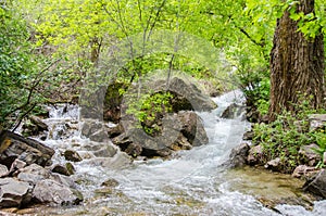 Flowing mountain water