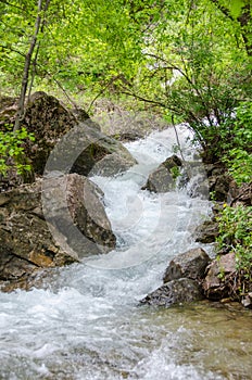 Flowing mountain water