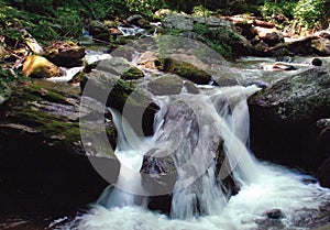 Flowing peaceful white tumbling beauty