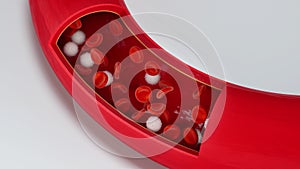 Flowing red and white blood cells in the blood vessel, 3d rendering