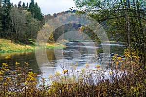 flowing river in fall nature